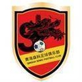 Qinghai Senke Logo