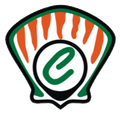 เอฟซี เซียนฟวยกอส Logo