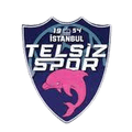 Telsizspor Women Logo