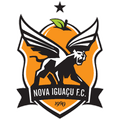 Runner up logo