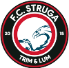 Đội trẻ Struga Logo