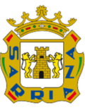 Sarriana Logo