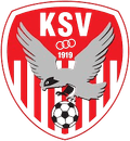 Teamsportakademie Kapfenberg Logo