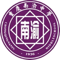 Chongqing Nanyu U13 Logo