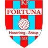 Fortuna Singelik Logo