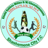 Shashemene Kenema FC Logo