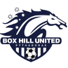 Box Hill United U20 Logo