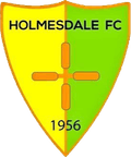 Holmesdale Logo