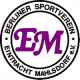 Mahdov FC Logo
