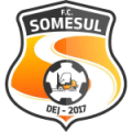 FC Somesul Dej Logo