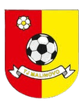 TJ Malinovo Logo