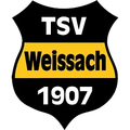 TSV Weissach Youth Logo