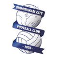 Birmingham City Academy Logo