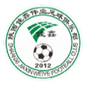 Shaanxi Jiaxin Weiye Football FC Logo
