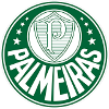Palmeiras U20 Logo