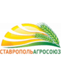 Nevinnomyssk Logo