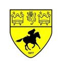 Newmarket Town Logo