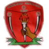 Sawmer Logo