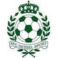 Dessel Sport Logo