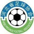 Hebei Youth Logo
