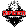 皮特什蒂速度學院 Logo