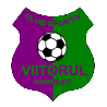 Viitorul Domnesti Logo
