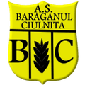 Baraganul Ciulnita Logo
