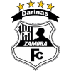 Zamora II Logo