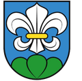Lyss Logo