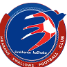 Mbabane Swallows Logo