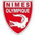 NimesU19 Logo