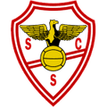 SC Salgueiros 08 Beach Logo