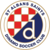 St. Albans Saints U21 Logo