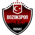 Yozgat Bld Bozokspor Logo