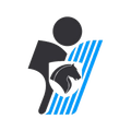 Winner logo