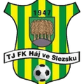 Haj ve Slezsku Logo