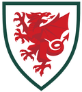 Wales Indoor Soccer Logo