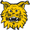 Ilves B(w) Logo