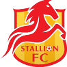 Stallion Penson FC Logo