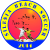 Silesia Milenium Beach Logo