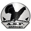 ACS Olimpic Zarnesti Logo