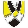FC Mendrisio Stabio Logo