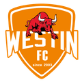 ฝอซาน สปอร์ต (ญ) Logo