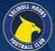 Solihull Moors Women Logo