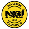 NSI Runavik II Logo
