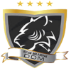 DDM FC Logo
