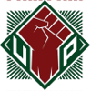 Fighting Maroons (w) Logo