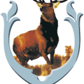 Tampines Rovers U19 Logo
