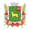 Sdyusshor Bronnitsy Logo