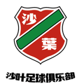Nanjing sand leaves(2014-2020) Logo